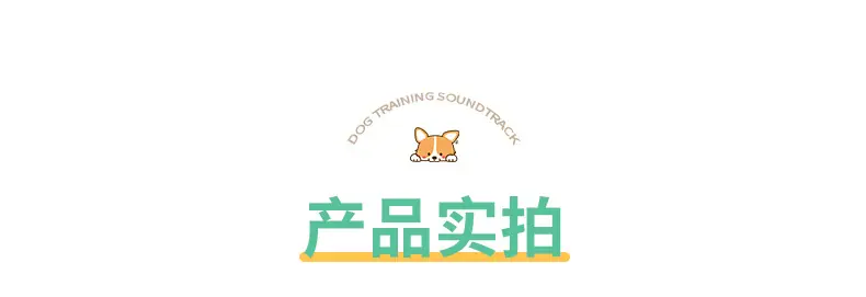 训犬响片2_08