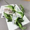 5 Hojas de Begonia Hojas de Lluvia de Primavera Flores Falsas de Boda Fotografía Planta de Casa Decoración Floral Mori Vestido Suave Simulación Plantas Verdes