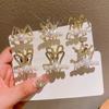 Corona dulce de perlas para niños, clip para flequillo, tocado sencillo tridimensional de pedrería, pasador de metal, estilo coreano, pasador que combina con todo