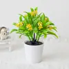 Amazon mini planta verde planta en maceta decoración de oficina en casa planta en maceta pequeña fotografía de planta falsa bonsái verde pequeño bonsái al por mayor