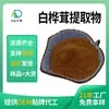 Extracto de Hongo Chaga 30% Polisacárido de Chaga, Extracto de Chaga, Al por Mayor en Stock, Alta Pureza, Muestra Disponible para Envío
