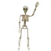 Accesorios de Esqueleto Móvil para Halloween, Decoraciones de Esqueleto para Casa Embrujada y Sala de Escape, Adornos de Terror al por Mayor