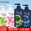 Champú Qingyang 650g Anticaspa, Refrescante y Control de Grasa para Hombres y Mujeres, Champú Anti-Picazón, Champú con Fragancia de Larga Duración