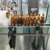 Linha de Produção de Enchimento de Bebida Vegetal em Frasco de PP de 30ml Máquina de Enchimento de Líquido Oral com Agente Misturador de 10ml Máquina de Enchimento de 50ml