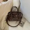 Bolsa de Mão Minimalista Transfronteiriça para Mulheres, Bolsa Tote Pequena, Novo Modelo 2026, Textura de Alta Qualidade, Bolsa Tote Transversal Plissada de Nicho