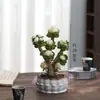 Planta em Vaso Árvore da Fortuna, Planta Trazedora de Sorte, Suculenta de Tronco Antigo, Para Sala de Estar Interna, Mesa de Escritório, Planta e Flor Verde Fácil de Manter o Ano Todo