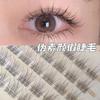 Gel Natural Pseudo-sin-maquillaje Sin Gel Cola de Pez Madre Ciliar 120 Grupos Gran Capacidad Tallo Transparente Reutilizable Tallo Fino