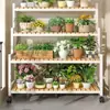 Novo Modelo de Suporte de Flores com Rodas, Estante de Armazenamento Móvel, Estilo Escada, de Chão, Suporte de Flores Multicamadas para Sala de Estar, Varanda e Uso Externo