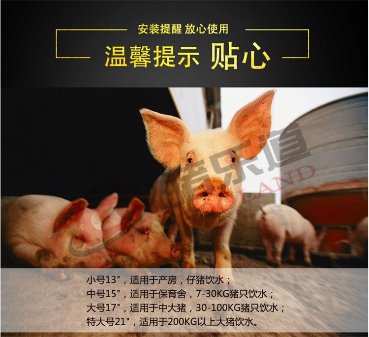 9dbfb936531d48de598bff02002939