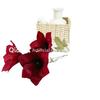 Flor Simulada de Tres Cabezas Clivia Flor de Boda Transfronteriza Venta al por mayor Adorno Flor Flor Artificial Flor Artificial Realista de Gama Alta