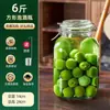 Frascos de Vidrio Sellados de Alta Gama para Remojar Vino, Recipientes Espesados para Hierbas Medicinales, Frascos para Elaboración de Vino, Botellas de Vino Vacías