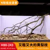 Árbol para paisajismo de acuario sudamericano, ramas secas, ramas de peral amarillo, decoración de sustrato, pecera pequeña, ramas naturales, decoración de paisajismo y paisajismo.