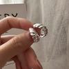 Pendientes de plata de ley s925 con forma de cuerno, estilo japonés y coreano, con un bonito diseño de nicho, con hebilla de oreja de línea retorcida, venta al por mayor