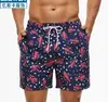 2026 Nuevos Shorts Deportivos Casuales para Hombre Impresos en 3D de Europa y América Transfronterizos Amazon Shorts de Playa de Moda