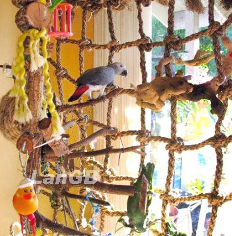parrot net