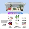 Conjunto Caixa de Caranguejo Eremita Conjunto Completo Terrário Animal de Estimação Pequeno Conjunto de Criação para Desktop Caranguejos Pequenos Conjunto Completo Conjunto Inteiro Doméstico