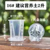 Novo vaso para orquídea Phalaenopsis vaso controle de raiz vaso transparente Qingshan vaso para Oncidium vaso de plástico transparente respirável vaso de flor vaso de orquídea