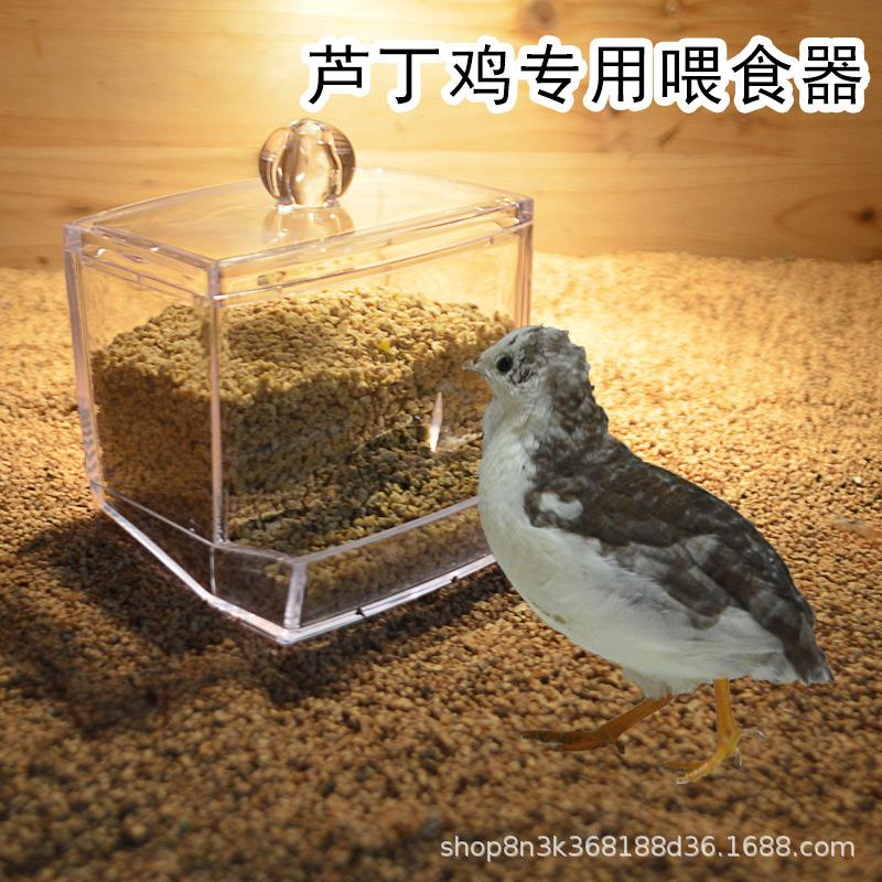 主图1.jpg