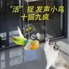 Juguete para gatos transfronterizo, pájaro simulado, duradero y resistente a la masticación, autoentretenido, palo teaser para gatos que alivia el aburrimiento, juguete de peluche, juguete para gatos, suministros para mascotas