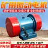 Motor Vibratorio Asíncrono Trifásico para Minas Estructura Totalmente Cerrada Fácil de Instalar Motor Vibratorio Asíncrono Trifásico para Minas