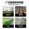 Clavo de protección de talud inclinado galvanizado plano de rosca lisa para comercio exterior, clavo de fijación de geored de tres piezas, clavo de protección de talud con pulverización de plástico