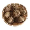 Selaginella Selvagem de Yunnan Medicina Herbal Chinesa 500g Selecionado Natural Sem Enxofre Erva Ressurreição Nove-Mortes Medicina Herbal Chinesa Huan Yang Cao Autêntico