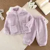Conjunto de inverno de fleece coral para meninas: um top simples de gola alta combinado com calças casuais ajustadas, perfeito tanto para usar em casa quanto ao ar livre