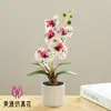 Flor Artificial Bonsái Phalaenopsis de Cuatro Hojas Flor Artificial Decoraciones de Interior Suministro Directo de Fábrica Maceta Artificial Flor de Seda Artificial