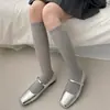 Nuevos Calcetines de Invierno y Otoño Estilo Coreano Dongdaemun Calcetines Largos de Pantorrilla Moda Ins Versátiles Adelgazantes Apilados