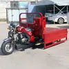 Triciclo Auto-Descarregável de Alta Resistência, Veículo Agrícola Motorizado para Carga, Veículo Doméstico Auto-Descarregável, Veículo Auto-Descarregável Movido a Combustível
