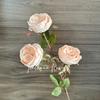 Borda tostada de 3 cabeças Austin multi-cabeça borda queimada retrô rosa decoração de casa decoração sala de estar mesa decoração floral