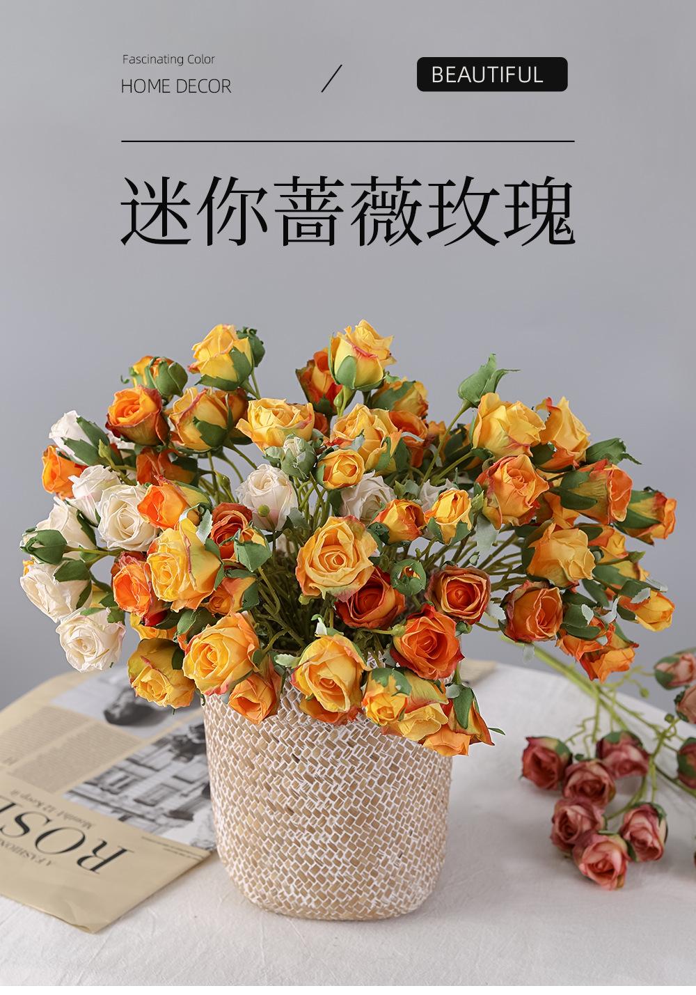 详情_01.png