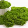 Paisagismo de gramado de musgo verde parede de plantas verdes micro paisagem artificial bonsai grama artificial musgo artificial pavimentação decorativa