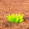 Série de Pilhas de Grama Sintética Transfronteiriça Decoração de Micro Paisagem de Plantas Ornamentos Pequenos de Mesa Jardinagem de Carro Acessórios de Resina DIY