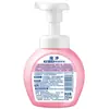 León El Rey León Qujing 250ml Espuma Limpiador de Manos Antibacteriano Aroma Puro Tonificante Infantil Hogareño 200ml Suplemento