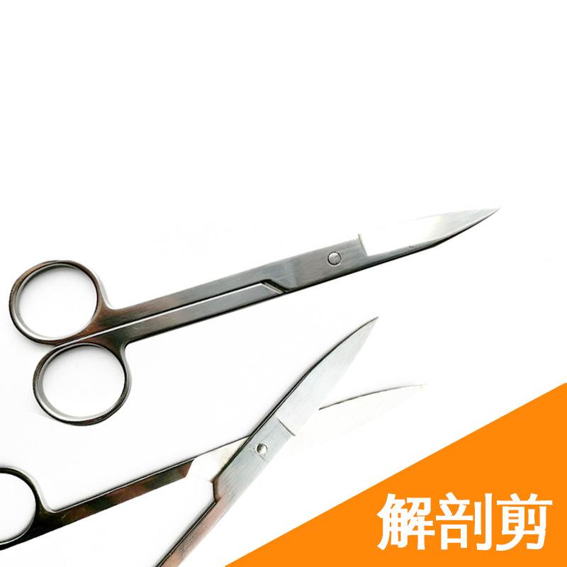 解剖器4