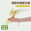 Cuerda de Volar para Loro Cuerda de Tracción Telescópica Ultraligera Fénix Negro Sol Pequeño Piel de Tigre Artefacto para Caminar Pájaros al Aire Libre Que No Lastima los Pies al Salir