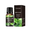 Óleo Essencial Aromático Solúvel em Água YINSHO 10ml Difusor Pedra de Incenso sem Fogo Agente de Fragrância Aromática Rosa Jasmim
