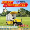 Carrito de Golf Eléctrico de 2 Plazas Coche Turístico Panorámico Coche de Entrega de Comida Carrito de Golf Eléctrico