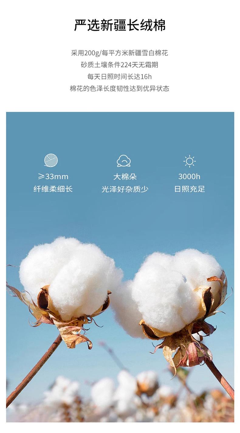 未标题-1_08.jpg