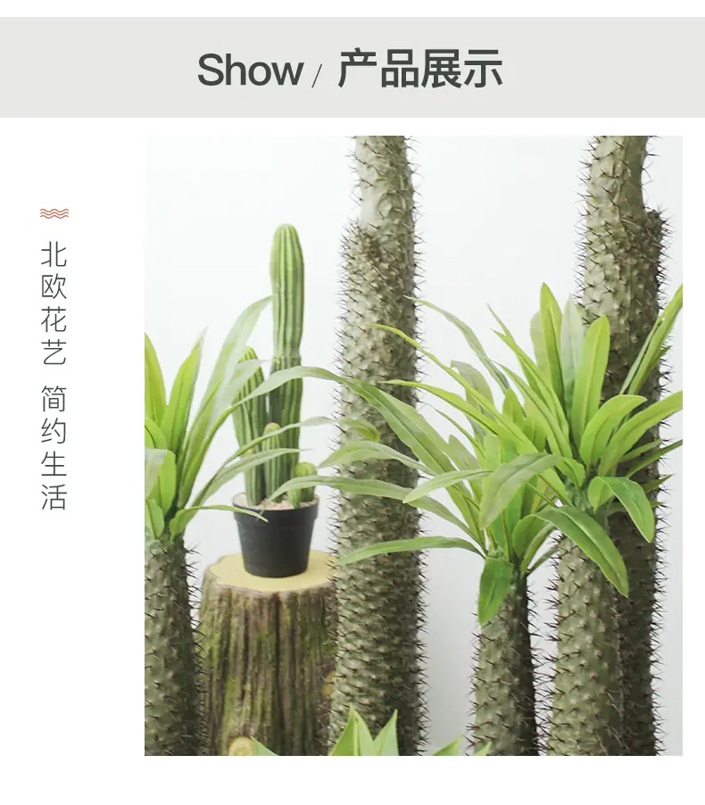 仿真霸王树系列_14.jpg