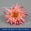 Brotos de Chá Flor Simulada Rosa e Crisântemo Atacado Fundo de Janela Parede de Flores Decoração Lembrancinha de Casamento Caixa Decorativa Parede de Flores