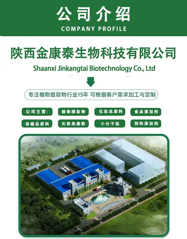 公司介绍