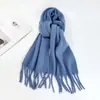 Bufanda de Color Sólido para Mujer Invierno Nuevo Bufanda de Imitación Cachemir Europea y Americana Bufanda Cálida Multicolor Transfronteriza Chal Largo Venta al por Mayor