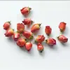 Flor Seca Resina DIY Acessórios de Flor Real Pingente Colar Pulseira Acessórios de Flor de Rosa Brincos