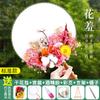 Paquete de Material para Abanico de Flores Secas Hecho a Mano Flor Inmortal Estilo Antiguo Abanico Redondo Evento de Team Building Calentamiento Regalo Día de la Madre DIY