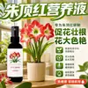 Solución nutritiva de Amarilis fertilizante para flores fertilizante especial para Amarilis solución nutritiva para bulbos promoviendo bulbos de floración bulbos de raíz tubérculos fertilizante fertilizante líquido