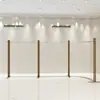 Arara de Exposição para Loja de Roupas Aço Inoxidável Cabide de Parede Loja de Roupas Femininas Novo Modelo Estante de Exposição de Chão Madeira Maciça Venda por Atacado