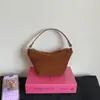 Bolsa de almuerzo de nicho estilo coreano, acabado mate de moda, bolso de mano para mujer, bolso de hombro, bolso cruzado versátil con un toque de alta gama