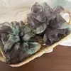 Scrunchie Amarelo Floral Estilo Coreano para Mulheres, Acessório Versátil da Moda, Elástico de Cabelo Fresco e Elegante para o Verão, Ornamento de Cabelo